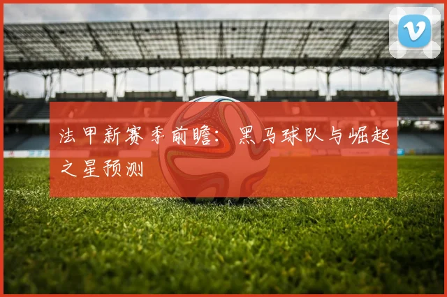 法甲新赛季前瞻：黑马球队与崛起之星预测